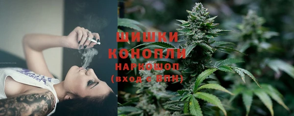 индика Горно-Алтайск
