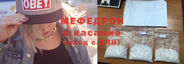 молекула духа Вяземский
