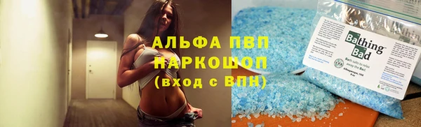 молекула духа Вяземский