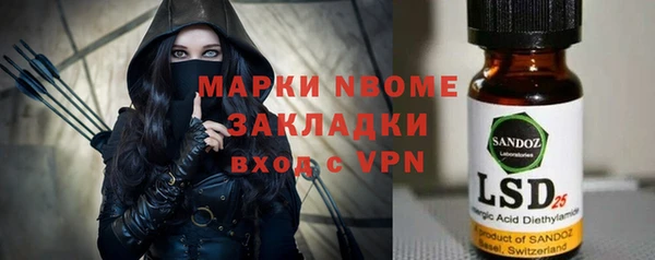 молекула духа Вяземский