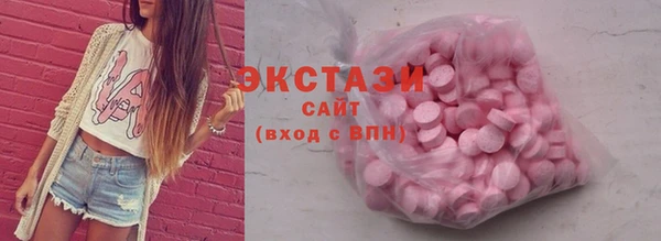 молекула духа Вяземский
