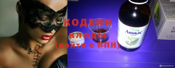 молекула духа Вяземский