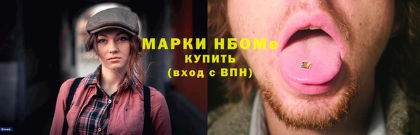 молекула духа Вяземский