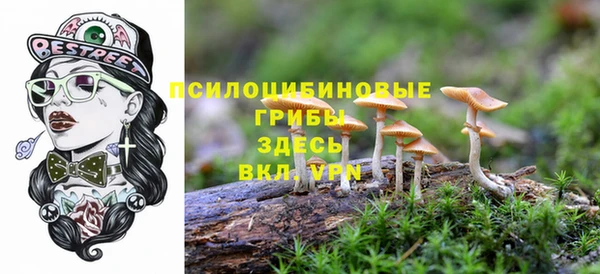 дурь Горнозаводск