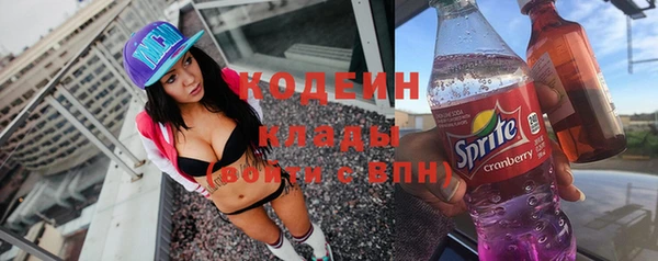 молекула духа Вяземский