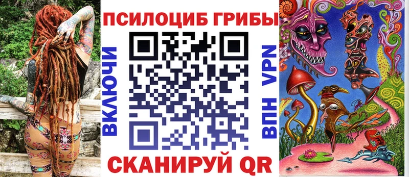 магазин    мега как зайти  Галлюциногенные грибы Magic Shrooms  Заводоуковск 
