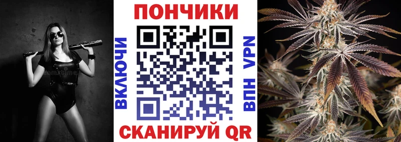 Марихуана план  где купить наркоту  Заводоуковск 